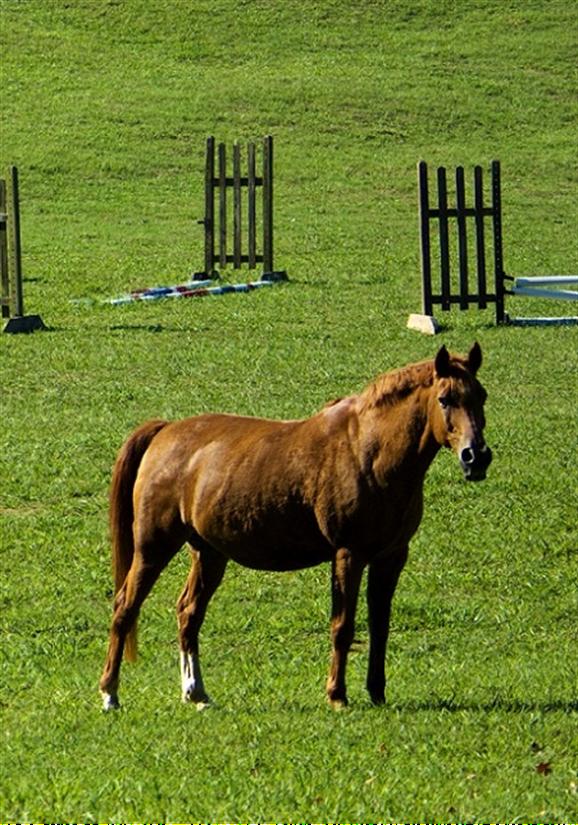 kundenzufriedenheit beschwerde 5